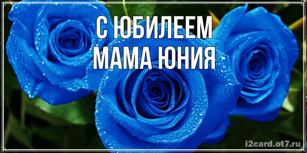 Открытка на каждый день с именем, Мама-Юния С юбилеем розы с синим цветом Прикольная открытка с пожеланием онлайн скачать бесплатно 