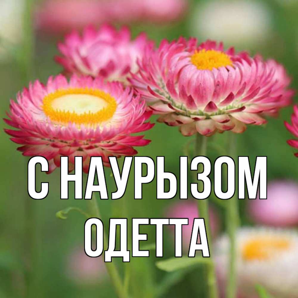 Открытка на каждый день с именем, Одетта С наурызом подарок на международный женский день Прикольная открытка с пожеланием онлайн скачать бесплатно 