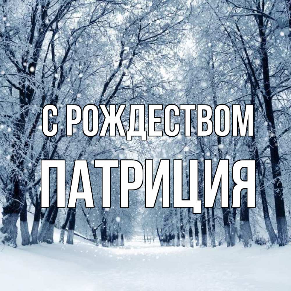 Открытка на каждый день с именем, Патриция С рождеством снег, лес, парк Прикольная открытка с пожеланием онлайн скачать бесплатно 
