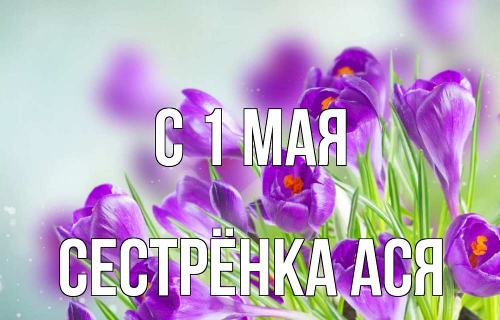 Открытка на каждый день с именем, Сестрёнка-Ася С 1 мая 1 мая Прикольная открытка с пожеланием онлайн скачать бесплатно 