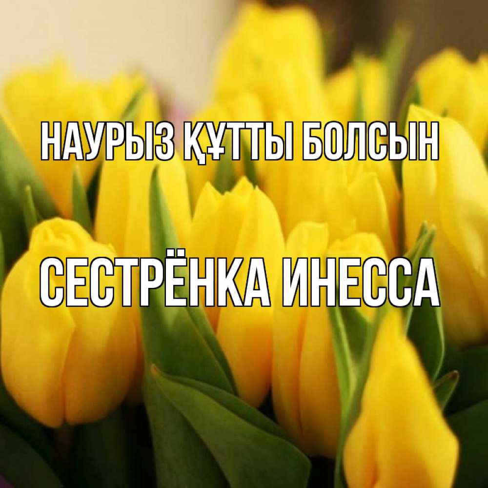 Открытка на каждый день с именем, Сестрёнка-Инесса Наурыз құтты болсын цветы Прикольная открытка с пожеланием онлайн скачать бесплатно 