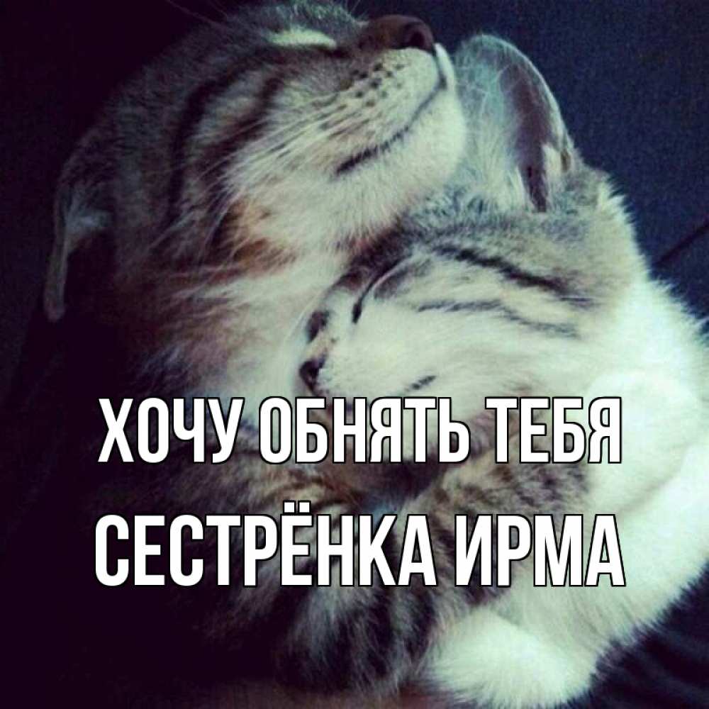Открытка на каждый день с именем, Сестрёнка-Ирма Хочу обнять тебя полосатики Прикольная открытка с пожеланием онлайн скачать бесплатно 