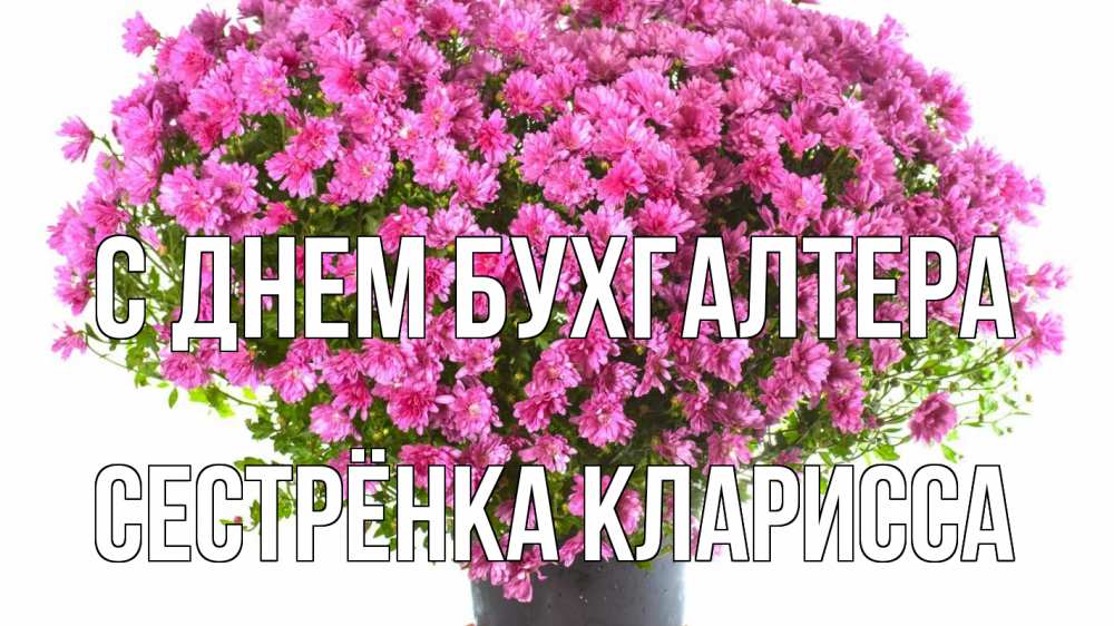 Открытка на каждый день с именем, Сестрёнка-Кларисса С днем бухгалтера с днем бухгалтера Прикольная открытка с пожеланием онлайн скачать бесплатно 