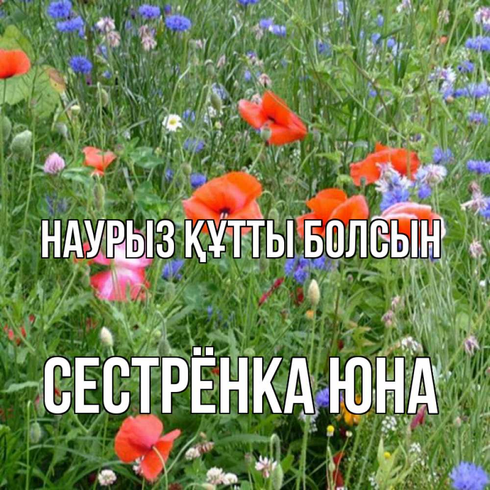 Открытка на каждый день с именем, Сестрёнка-Юна Наурыз құтты болсын наурыз  4 Прикольная открытка с пожеланием онлайн скачать бесплатно 