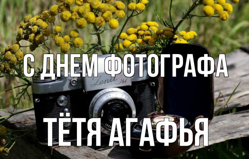 Открытка на каждый день с именем, Тётя-Агафья С днем фотографа с днем фотографа Прикольная открытка с пожеланием онлайн скачать бесплатно 