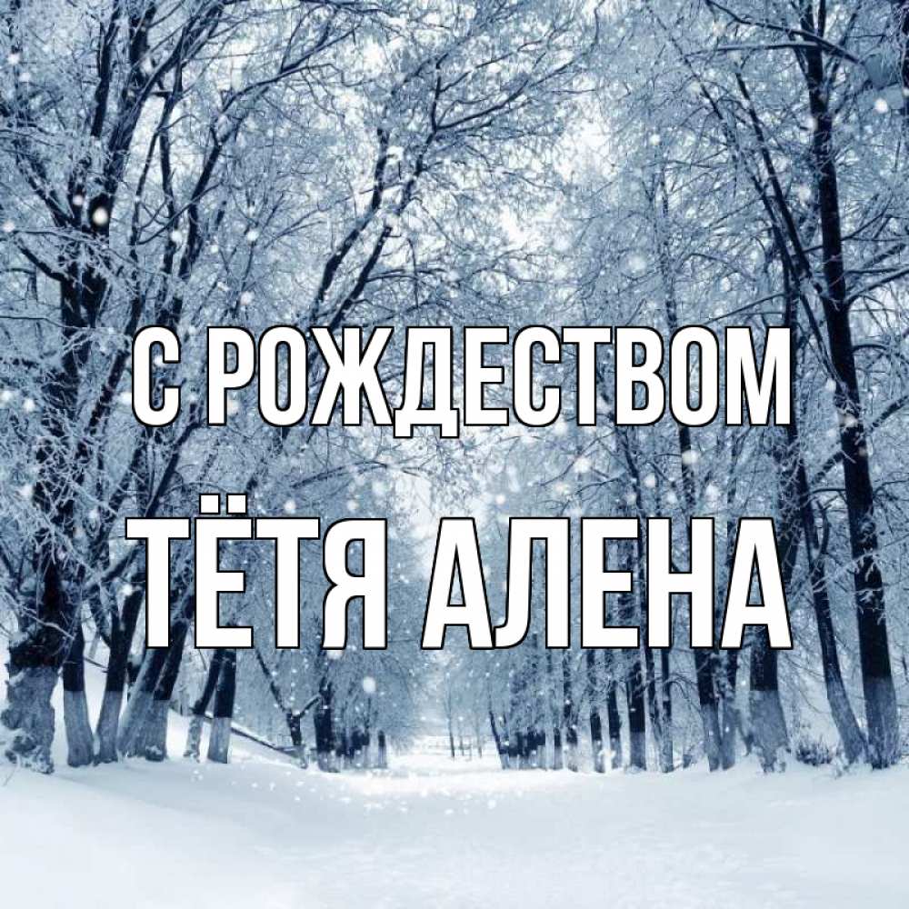 Открытка на каждый день с именем, Тётя-Алена С рождеством снег, лес, парк Прикольная открытка с пожеланием онлайн скачать бесплатно 
