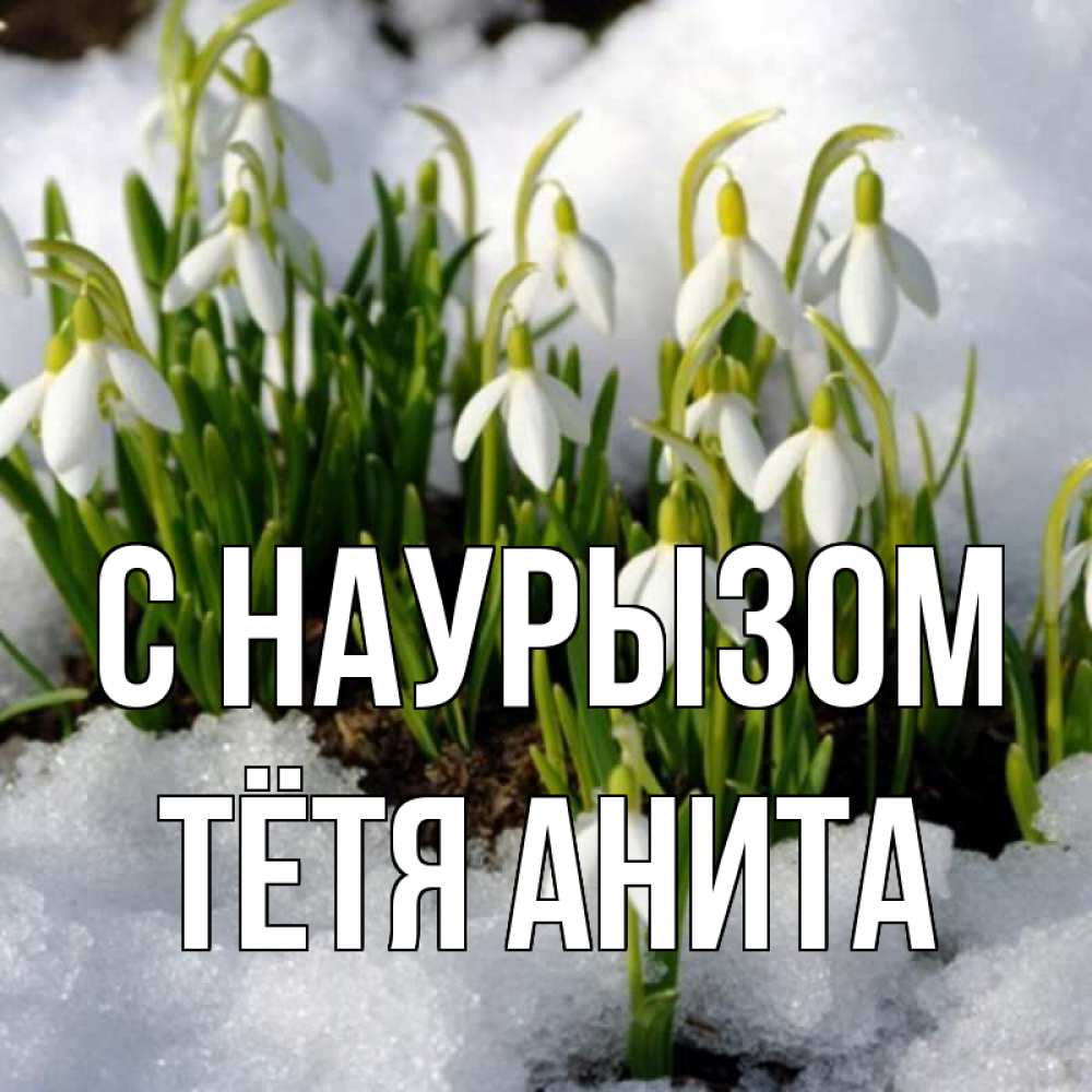 Открытка на каждый день с именем, Тётя-Анита С наурызом цветы весенние Прикольная открытка с пожеланием онлайн скачать бесплатно 