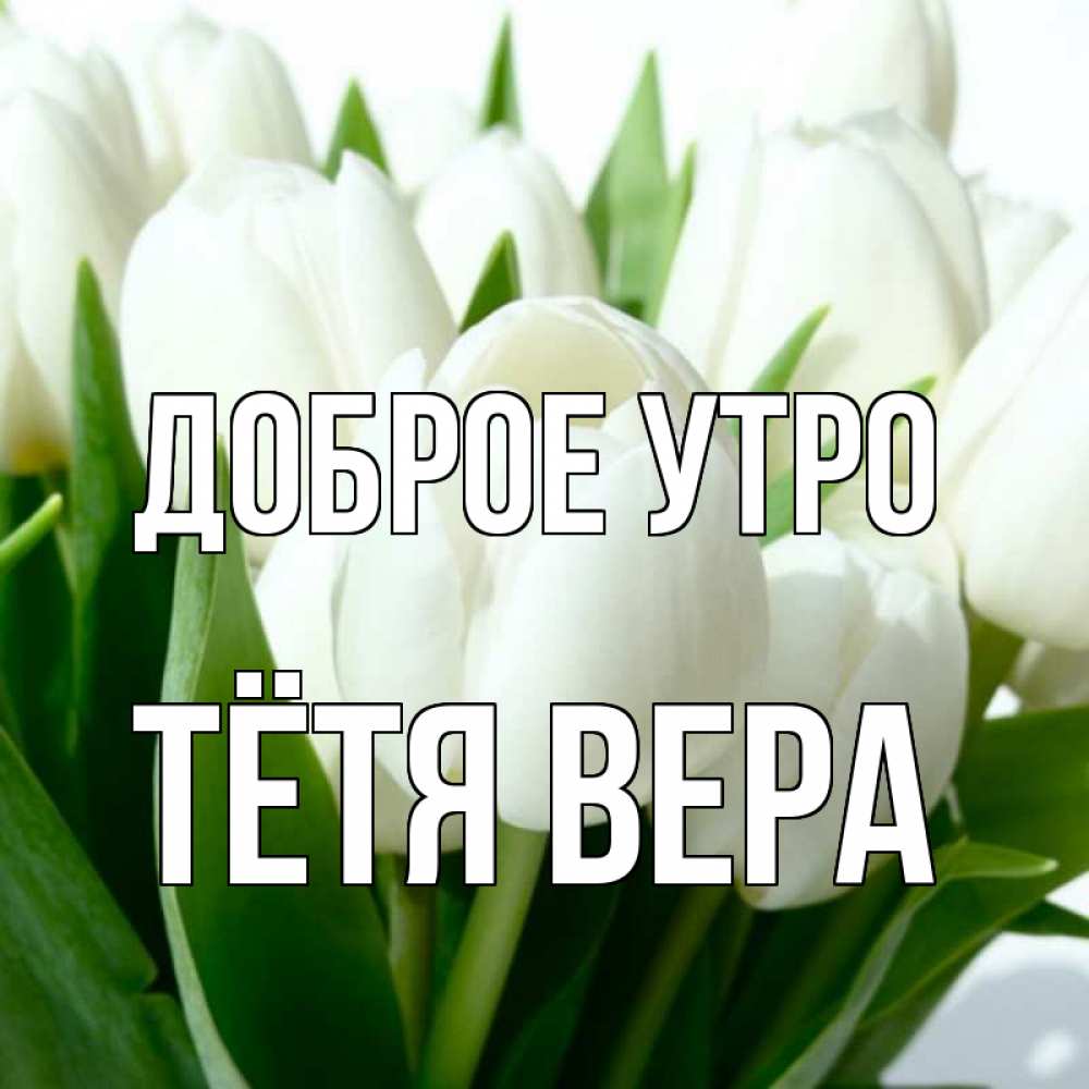 Открытка на каждый день с именем, Тётя-Вера Доброе утро открытки на каждый день по именам Прикольная открытка с пожеланием онлайн скачать бесплатно 