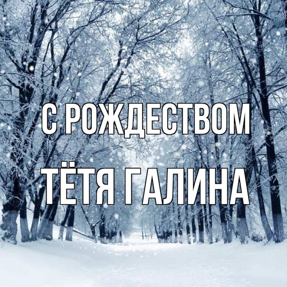 Открытка на каждый день с именем, Тётя-Галина С рождеством снег, лес, парк Прикольная открытка с пожеланием онлайн скачать бесплатно 