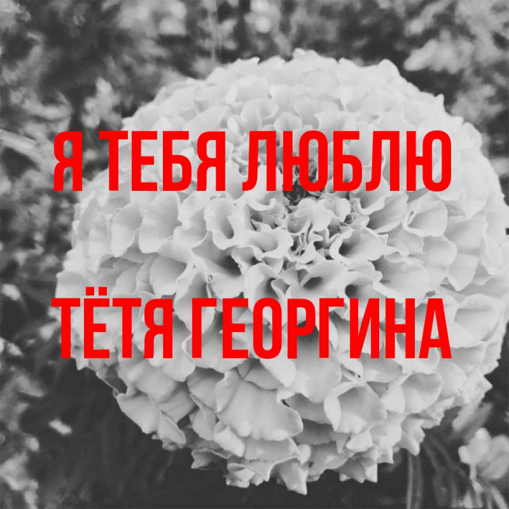 Открытка на каждый день с именем, Тётя-Георгина Я тебя люблю подпись Прикольная открытка с пожеланием онлайн скачать бесплатно 