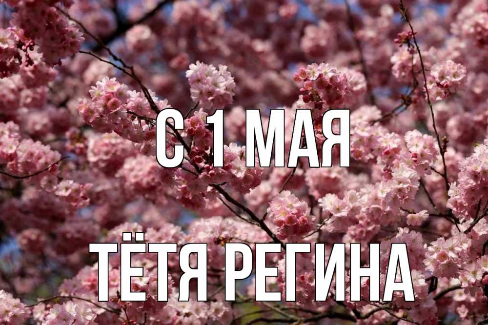 Открытка на каждый день с именем, Тётя-Регина С 1 мая С 1 мая Прикольная открытка с пожеланием онлайн скачать бесплатно 