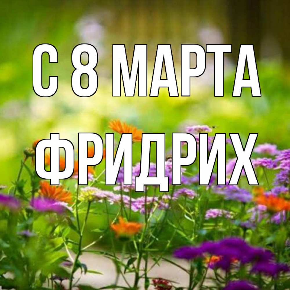 Открытка на каждый день с именем, Фридрих С 8 МАРТА цветы Прикольная открытка с пожеланием онлайн скачать бесплатно 