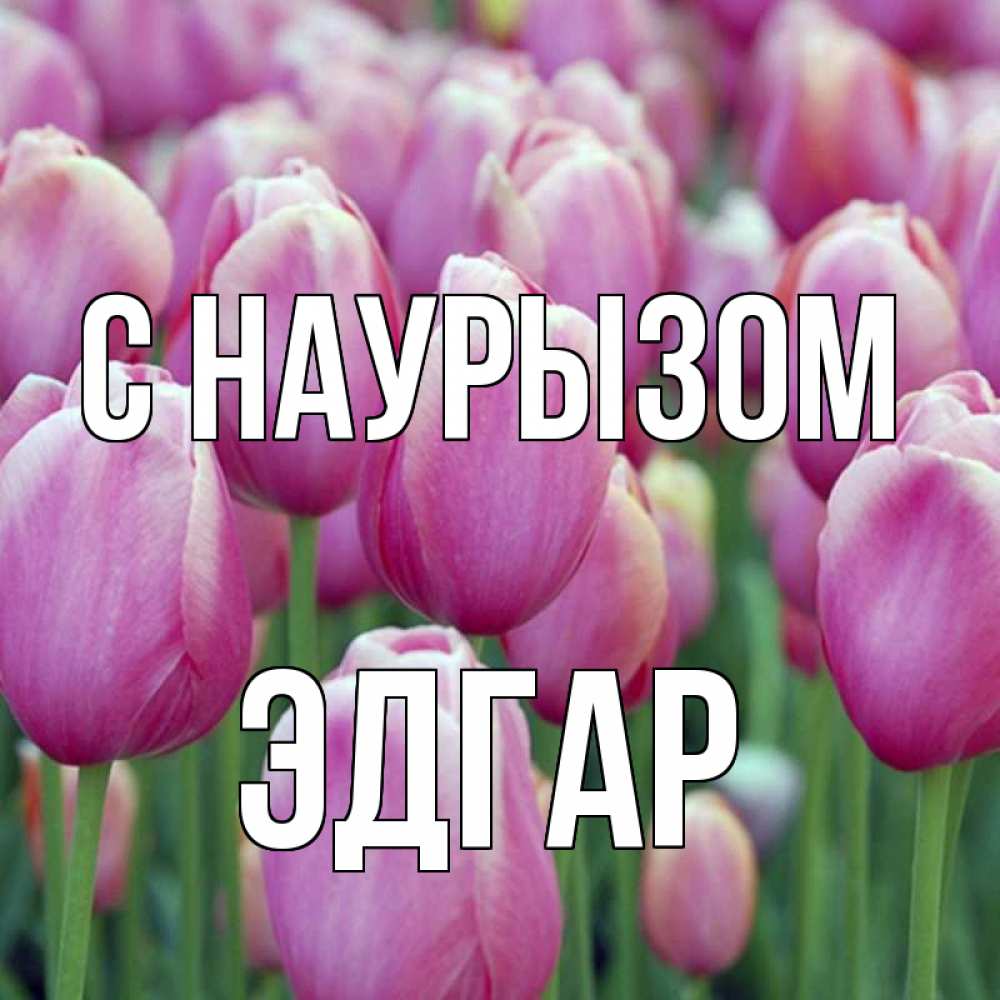 Открытка на каждый день с именем, Эдгар С наурызом праздник весны наурыз 69 Прикольная открытка с пожеланием онлайн скачать бесплатно 