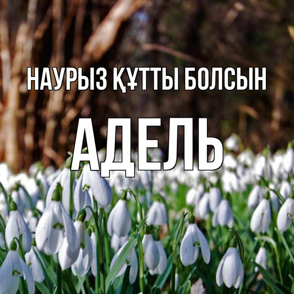 Открытка на каждый день с именем, Адель Наурыз құтты болсын с подснежниками 1 Прикольная открытка с пожеланием онлайн скачать бесплатно 