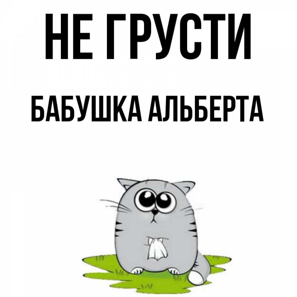 Открытка на каждый день с именем, Бабушка-Альберта Не грусти грустный котяра Прикольная открытка с пожеланием онлайн скачать бесплатно 