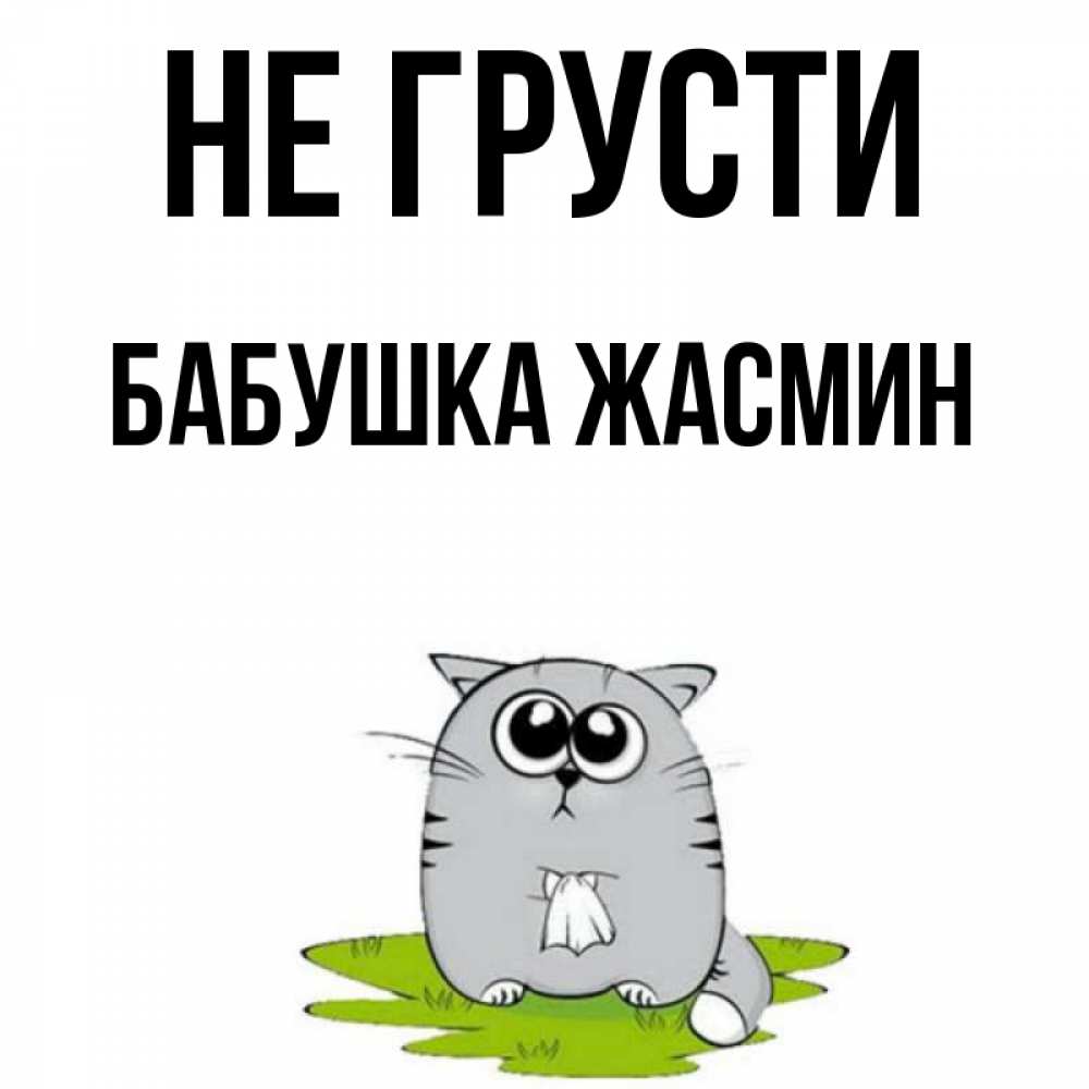 Открытка на каждый день с именем, Бабушка-Жасмин Не грусти грустный котяра Прикольная открытка с пожеланием онлайн скачать бесплатно 