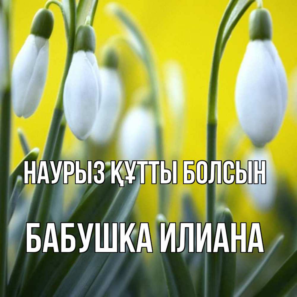 Открытка на каждый день с именем, Бабушка-Илиана Наурыз құтты болсын весенние цветы Прикольная открытка с пожеланием онлайн скачать бесплатно 
