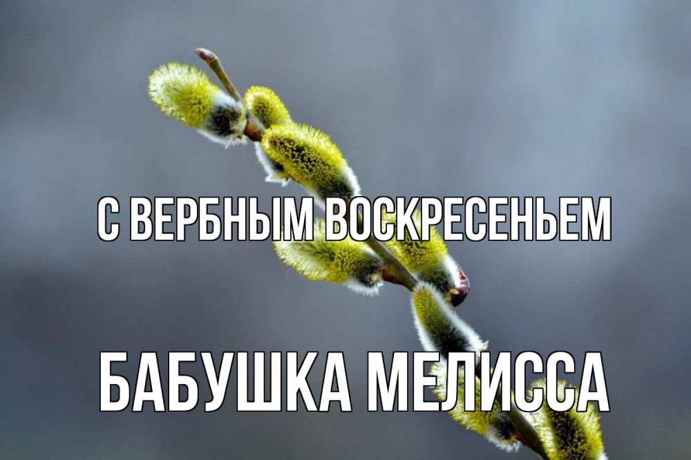 Открытка на каждый день с именем, Бабушка-Мелисса С вербным воскресеньем верба Прикольная открытка с пожеланием онлайн скачать бесплатно 