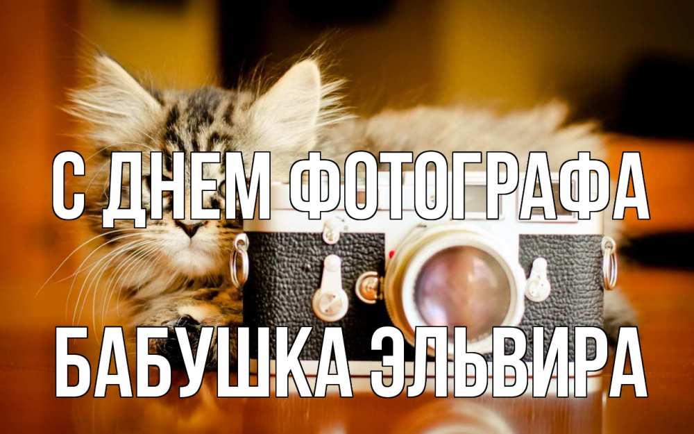 Открытка на каждый день с именем, Бабушка-Эльвира С днем фотографа с днем фотографа Прикольная открытка с пожеланием онлайн скачать бесплатно 