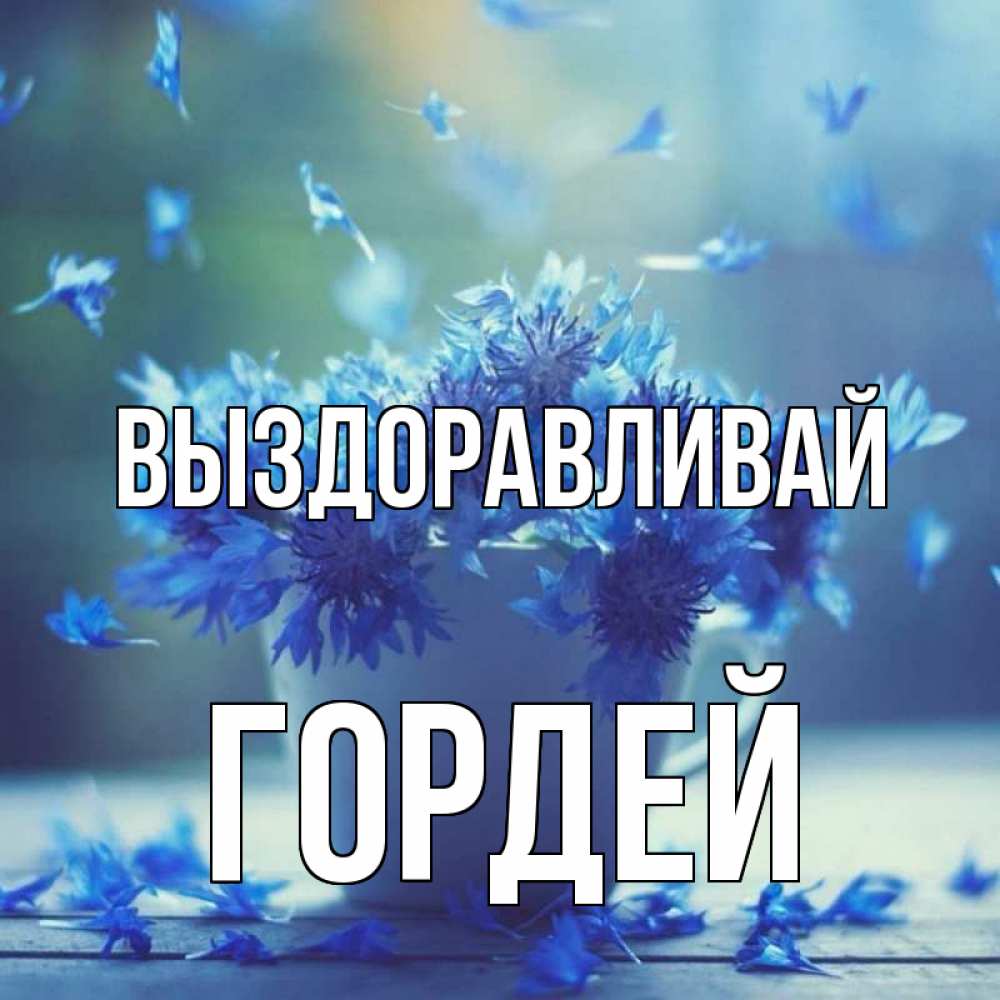 Открытка на каждый день с именем, Гордей Выздоравливай кружка с зельем и цветами Прикольная открытка с пожеланием онлайн скачать бесплатно 