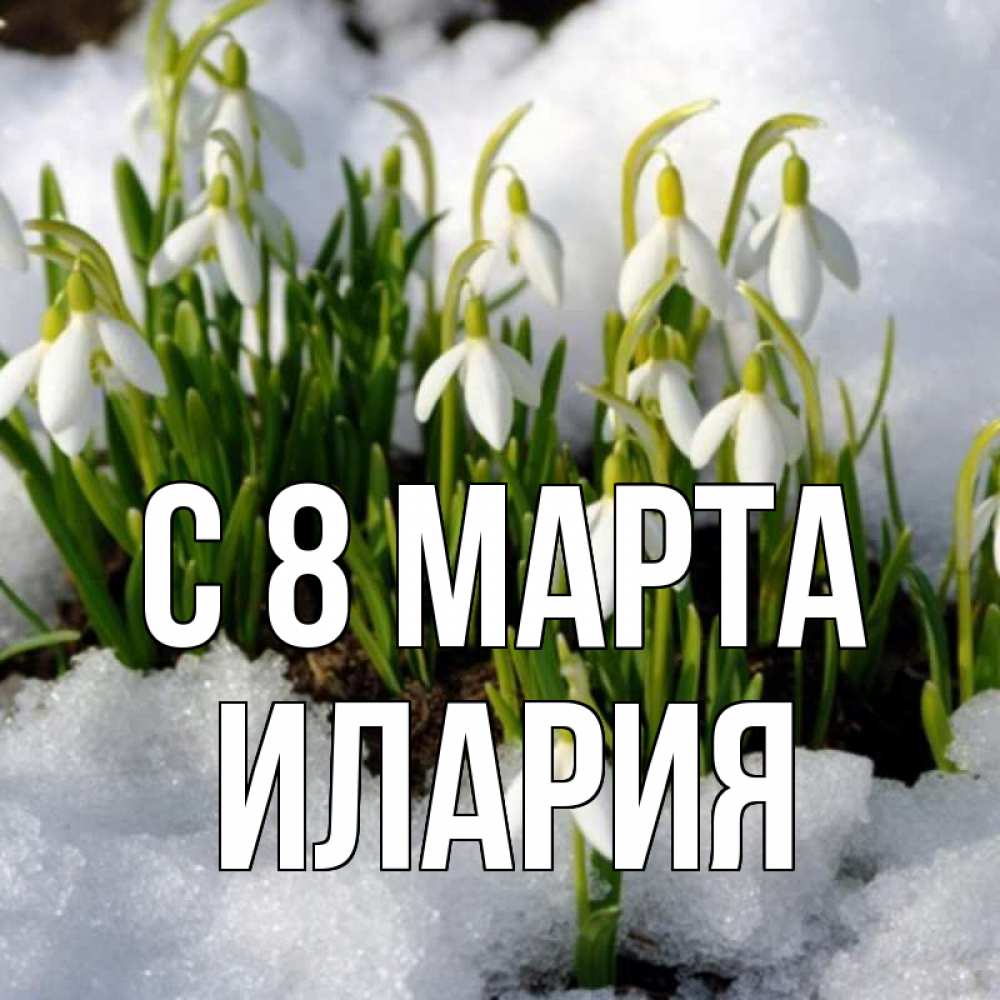 Открытка на каждый день с именем, Илария С 8 МАРТА цветы весенние Прикольная открытка с пожеланием онлайн скачать бесплатно 
