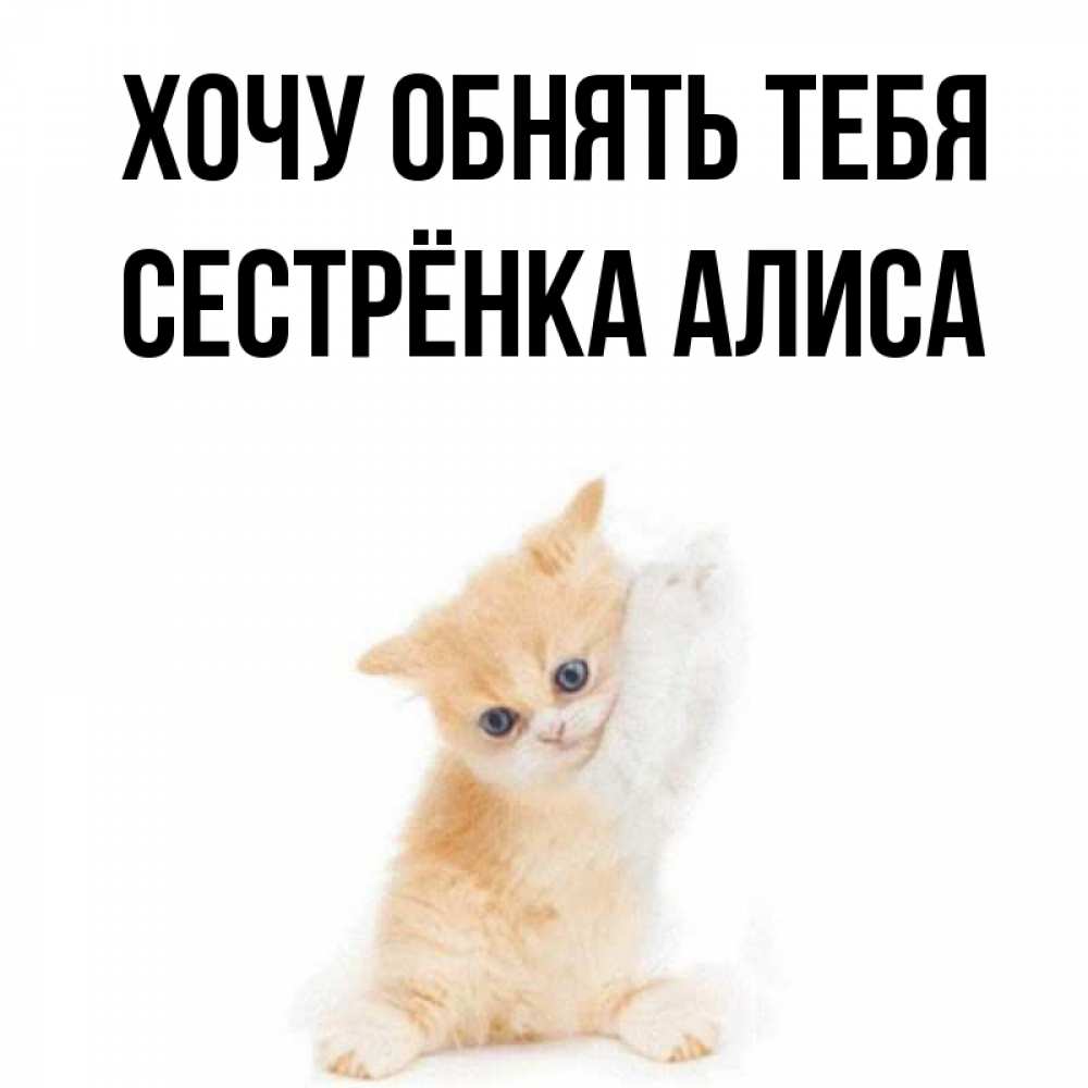 Открытка на каждый день с именем, Сестрёнка-Алиса Хочу обнять тебя я хочу очень скорее обнимаешек Прикольная открытка с пожеланием онлайн скачать бесплатно 