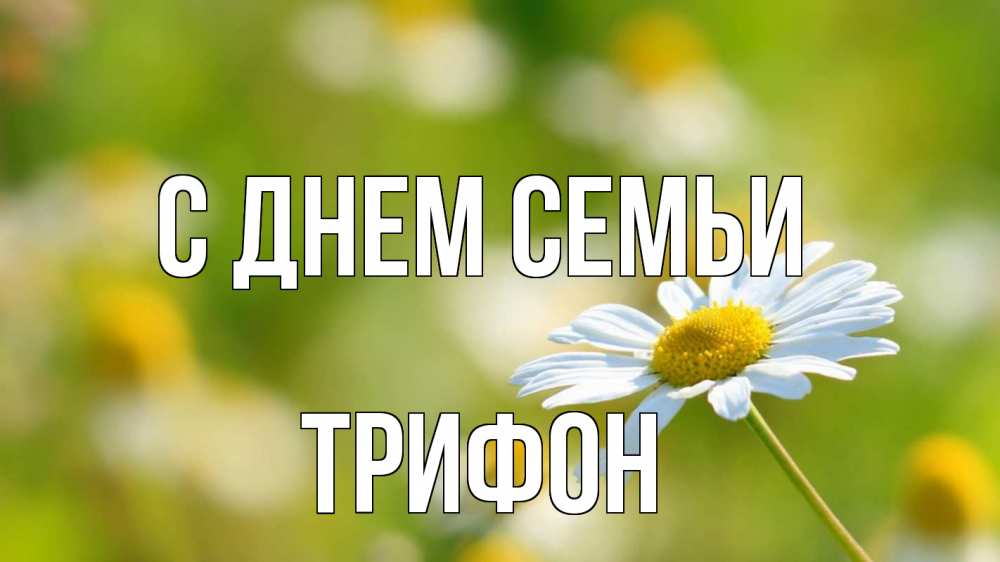 Открытка на каждый день с именем, Трифон С днем семьи с днем семьи  1 Прикольная открытка с пожеланием онлайн скачать бесплатно 