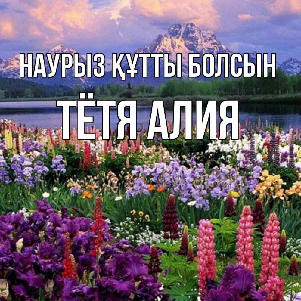 Открытка на каждый день с именем, Тётя-Алия Наурыз құтты болсын наурыз Прикольная открытка с пожеланием онлайн скачать бесплатно 