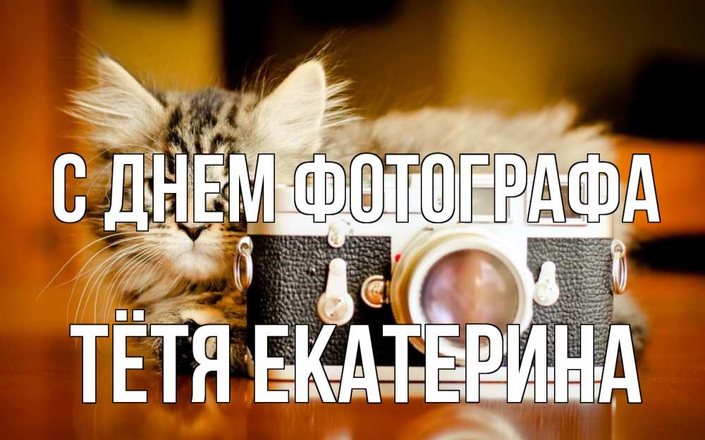 Открытка на каждый день с именем, Тётя-Екатерина С днем фотографа с днем фотографа Прикольная открытка с пожеланием онлайн скачать бесплатно 