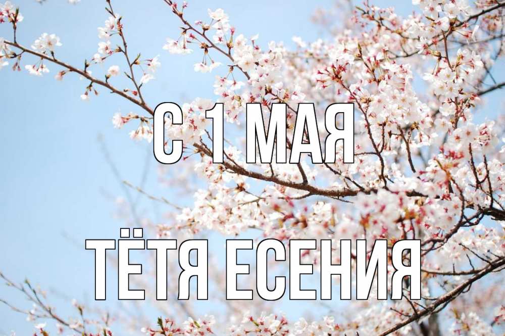 Открытка на каждый день с именем, Тётя-Есения С 1 мая С 1 мая Прикольная открытка с пожеланием онлайн скачать бесплатно 