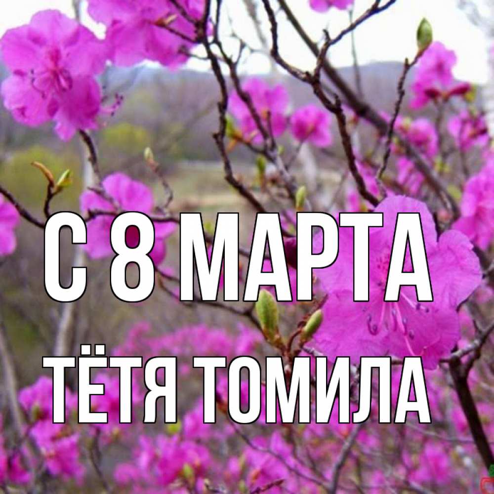 Открытка на каждый день с именем, Тётя-Томила С 8 марта международный женский день Прикольная открытка с пожеланием онлайн скачать бесплатно 
