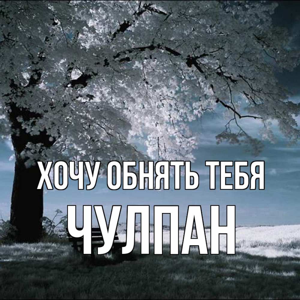 Открытка на каждый день с именем, Чулпан Хочу обнять тебя дерево Прикольная открытка с пожеланием онлайн скачать бесплатно 