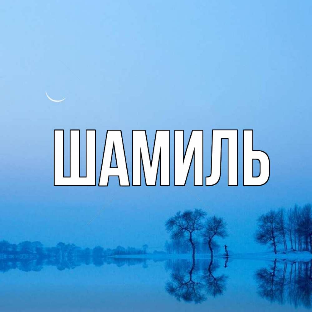 Открытка на каждый день с именем, Шамиль Главная весна Прикольная открытка с пожеланием онлайн скачать бесплатно 