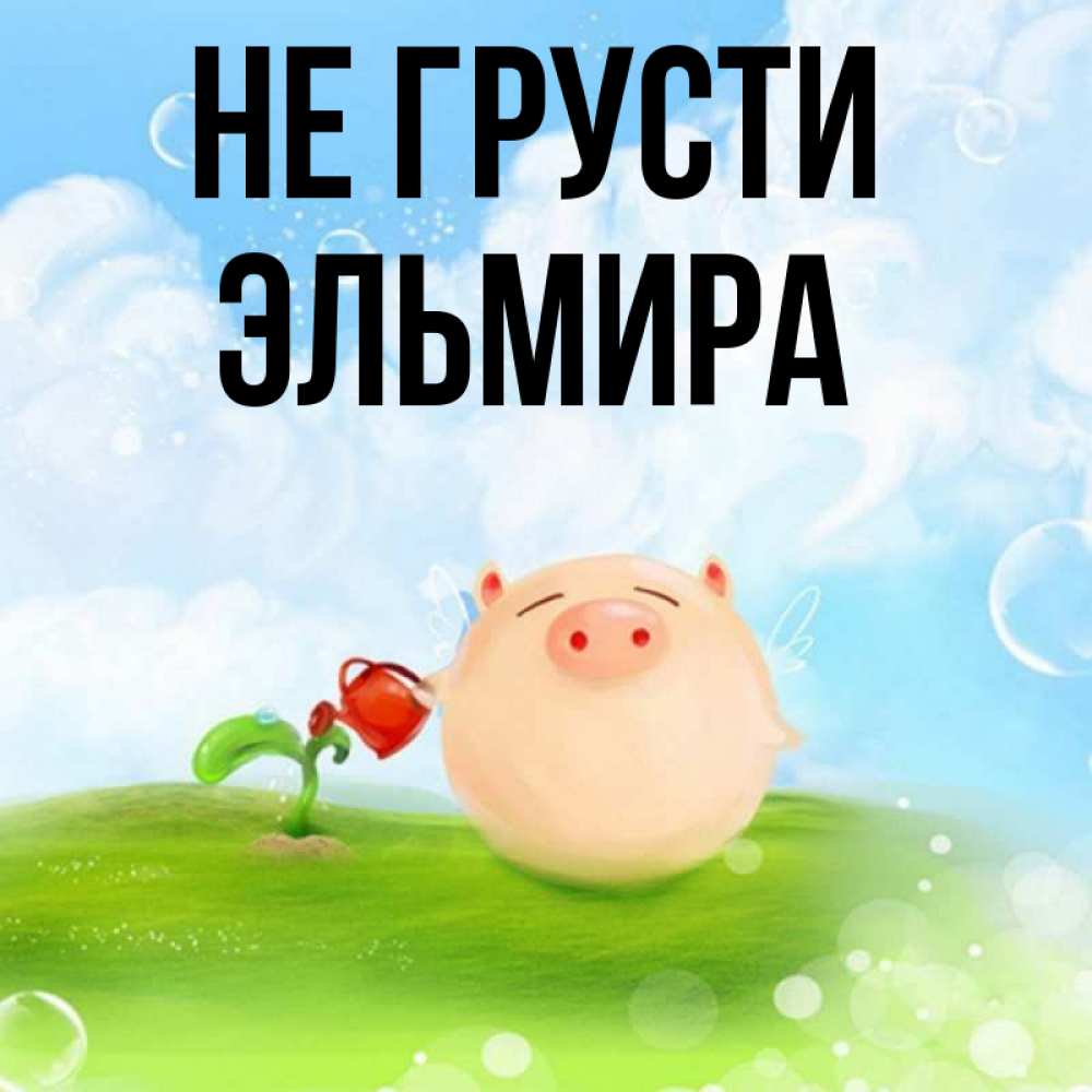 Открытка на каждый день с именем, Эльмира Не грусти поливает цветок порося Прикольная открытка с пожеланием онлайн скачать бесплатно 