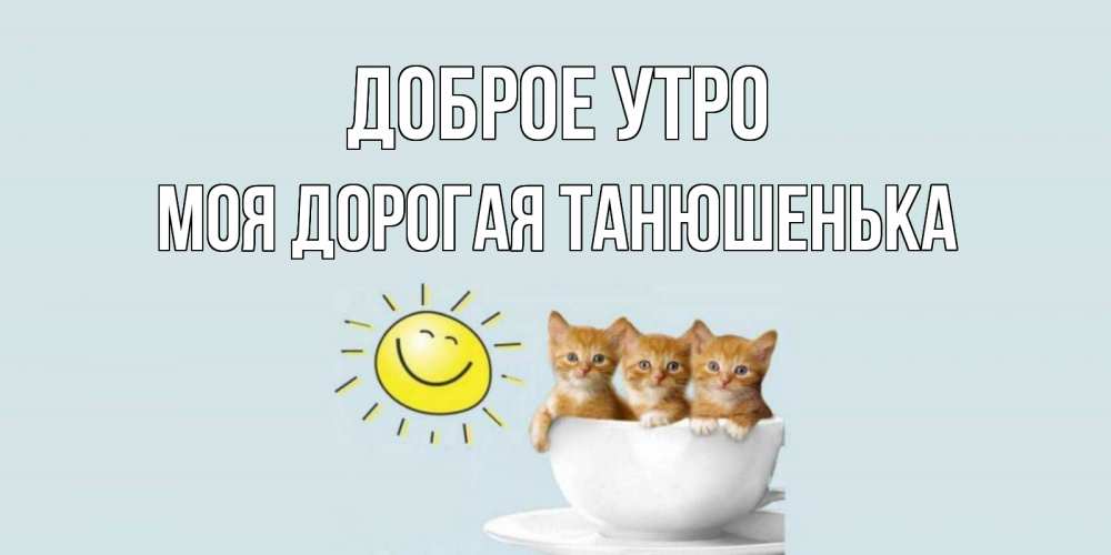 Открытка на каждый день с именем, моя-дорогая-Танюшенька Доброе утро котята Прикольная открытка с пожеланием онлайн скачать бесплатно 
