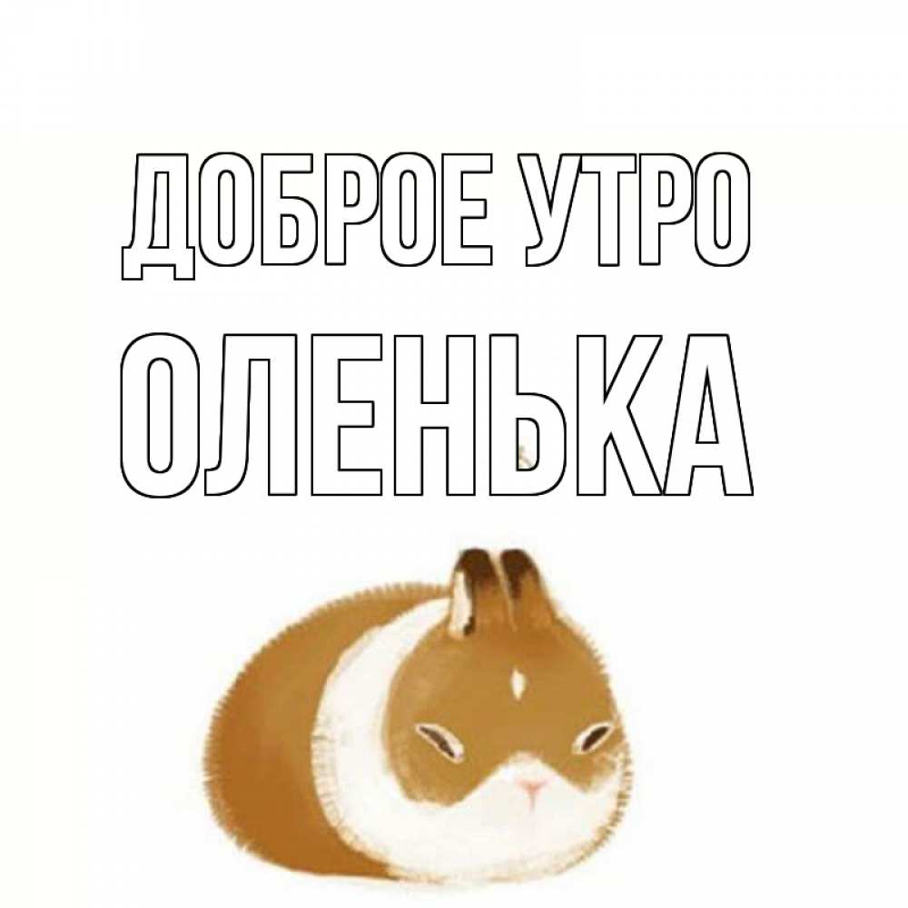 Открытка на каждый день с именем, оленька Доброе утро хорошего утречка Прикольная открытка с пожеланием онлайн скачать бесплатно 