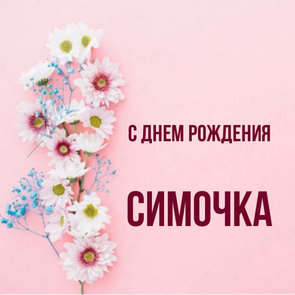 Симочка с днем рождения картинки