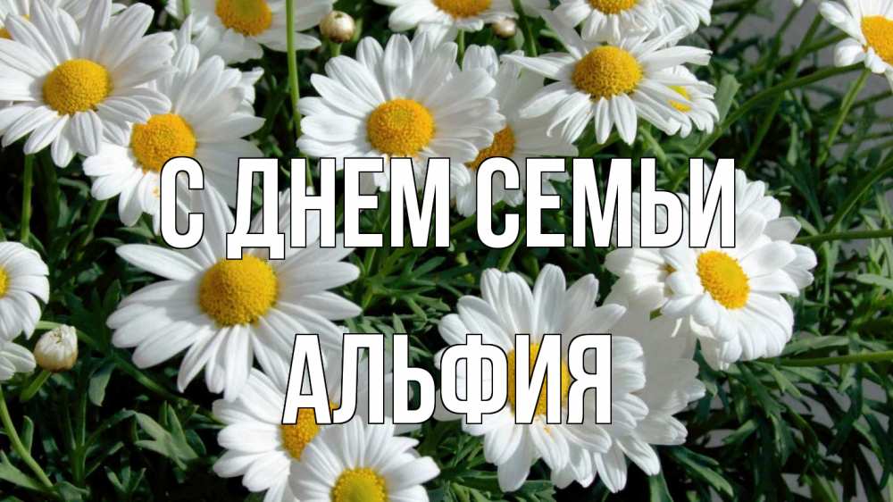 Открытка на каждый день с именем, Альфия С днем семьи с днем семьи Прикольная открытка с пожеланием онлайн скачать бесплатно 