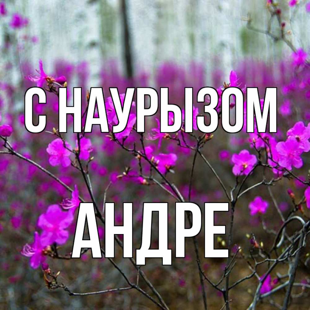 Открытка на каждый день с именем, Андре С наурызом дикие цветы Прикольная открытка с пожеланием онлайн скачать бесплатно 