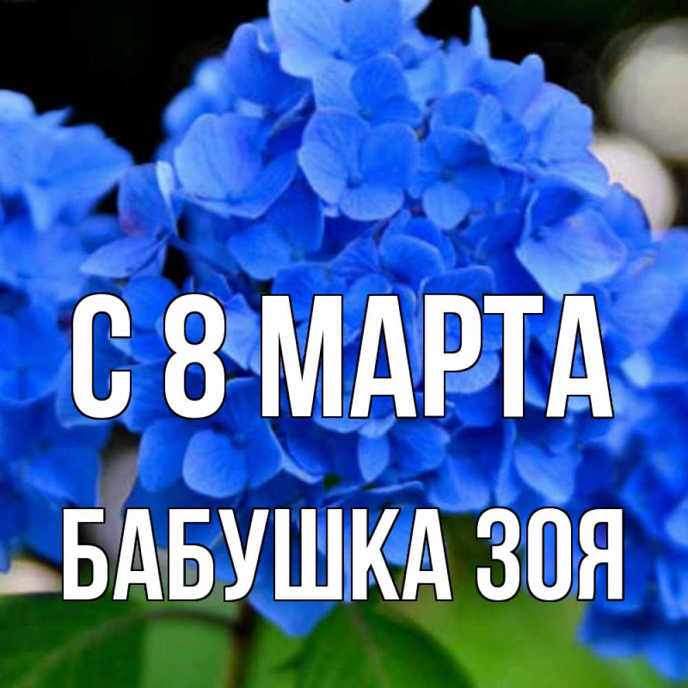 Открытка на каждый день с именем, Бабушка-Зоя С 8 МАРТА синие цветы Прикольная открытка с пожеланием онлайн скачать бесплатно 