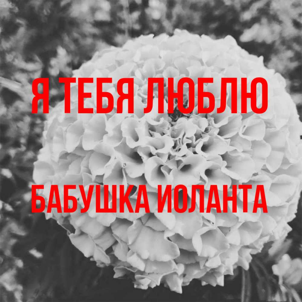 Открытка на каждый день с именем, Бабушка-Иоланта Я тебя люблю подпись Прикольная открытка с пожеланием онлайн скачать бесплатно 