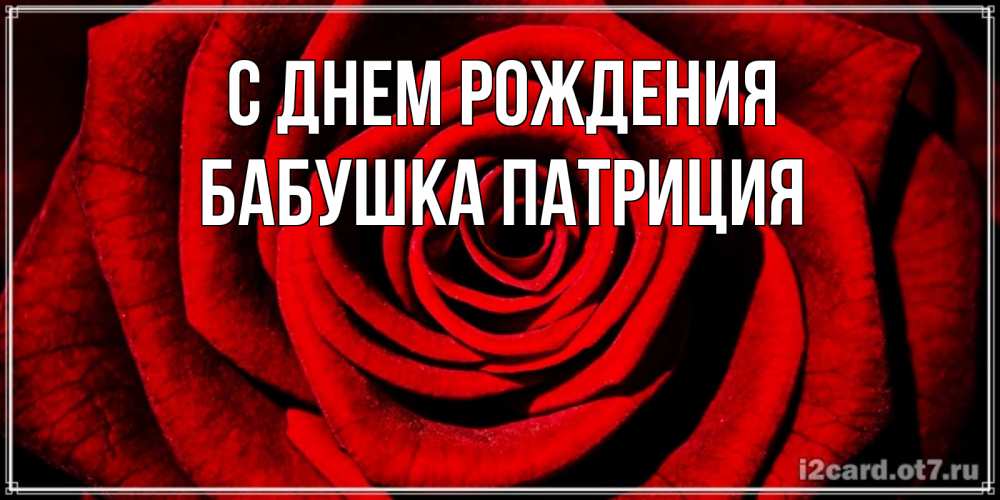 Открытка на каждый день с именем, Бабушка-Патриция С днем рождения алая роза Прикольная открытка с пожеланием онлайн скачать бесплатно 