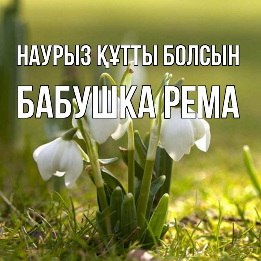 Открытка на каждый день с именем, Бабушка-Рема Наурыз құтты болсын ранние цветы 2 Прикольная открытка с пожеланием онлайн скачать бесплатно 