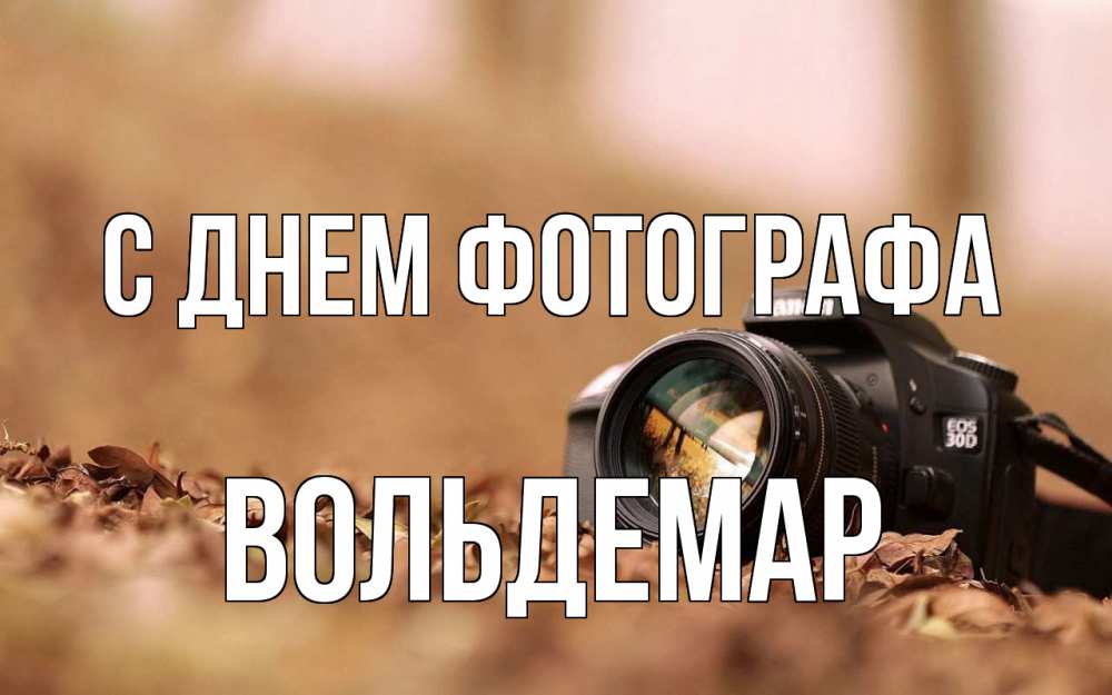 Открытка на каждый день с именем, Вольдемар С днем фотографа с днем фотографа Прикольная открытка с пожеланием онлайн скачать бесплатно 