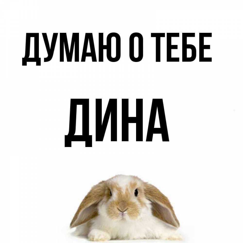 Открытка на каждый день с именем, Дина Думаю о тебе подписать своими руками онлайн Прикольная открытка с пожеланием онлайн скачать бесплатно 