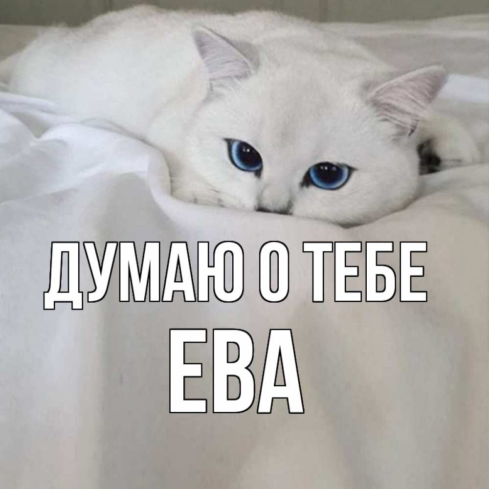 Открытка на каждый день с именем, Ева Думаю о тебе я очень по тебе скучаю и тоскую Прикольная открытка с пожеланием онлайн скачать бесплатно 