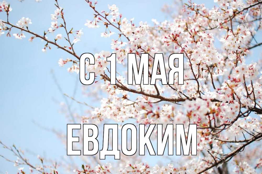 Открытка на каждый день с именем, Евдоким С 1 мая С 1 мая Прикольная открытка с пожеланием онлайн скачать бесплатно 