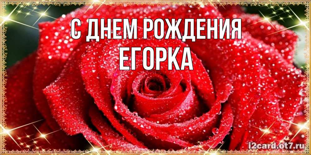 Открытка на каждый день с именем, Егорка С днем рождения роса и роза. открытка с красивой розой Прикольная открытка с пожеланием онлайн скачать бесплатно 