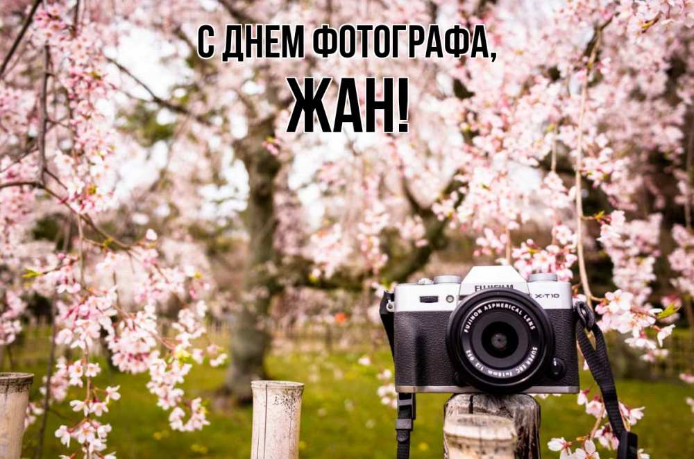 Открытка на каждый день с именем, Жан С днем фотографа сирень с днем фотографа, фотоаппарат Прикольная открытка с пожеланием онлайн скачать бесплатно 