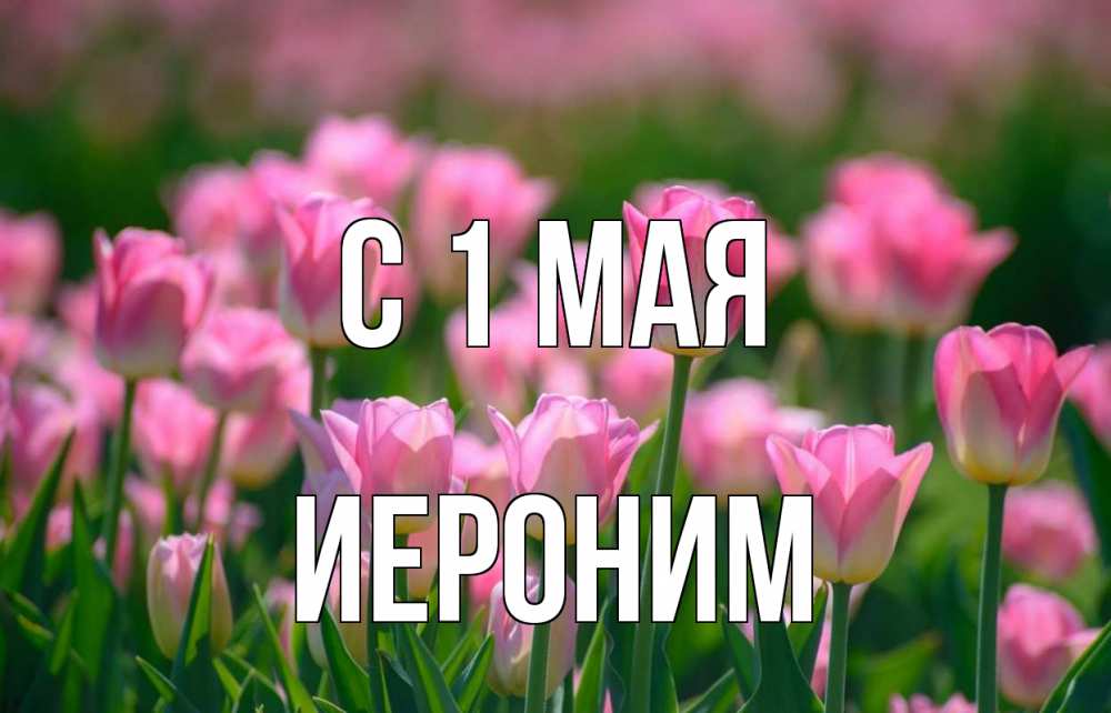 Открытка на каждый день с именем, Иероним С 1 мая С 1 мая Прикольная открытка с пожеланием онлайн скачать бесплатно 